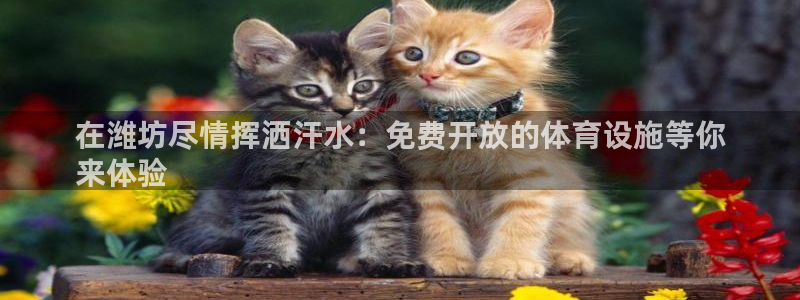 尊龙z6官网ag