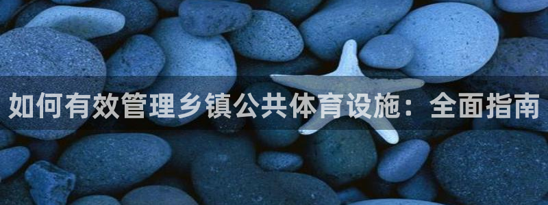 尊龙官网APP下载