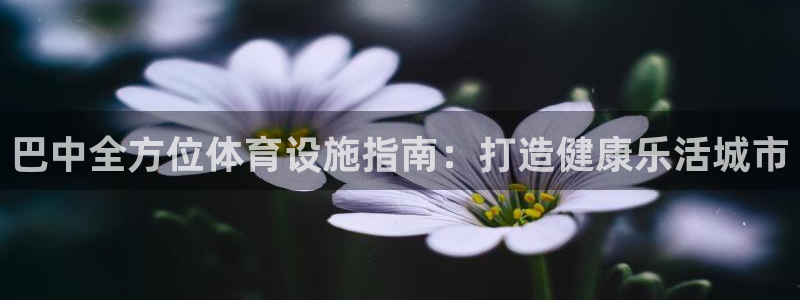 尊龙凯时人生就博