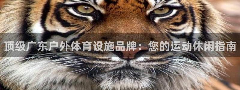 凯时国际最新