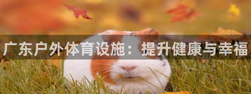 尊龙人生就是博官方官网