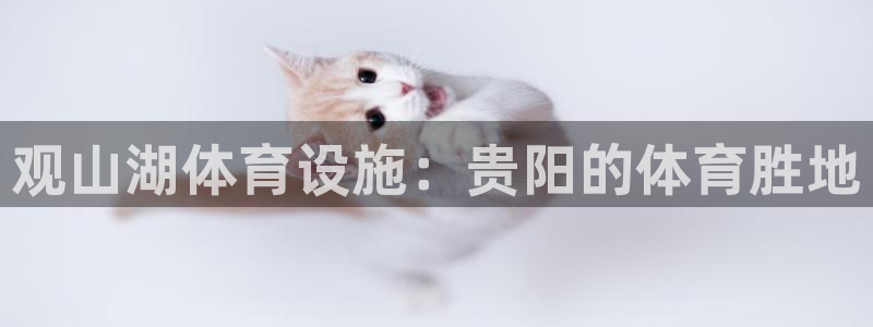 尊龙凯时人生就是搏技术实力