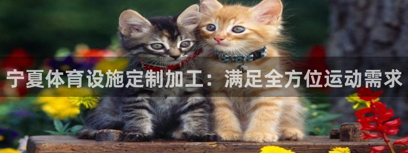 尊龙凯时始人生就是博