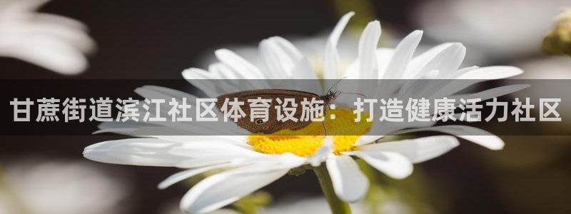 尊龙官网APP下载