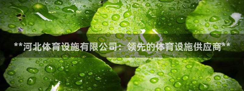 尊龙新版官网网页版
