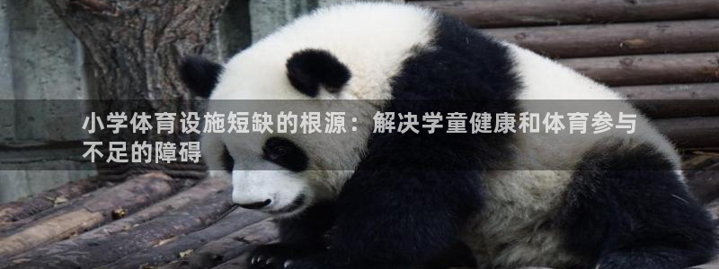 尊龙光学怎么样