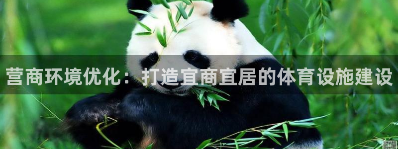 尊龙凯时请求参数不符合