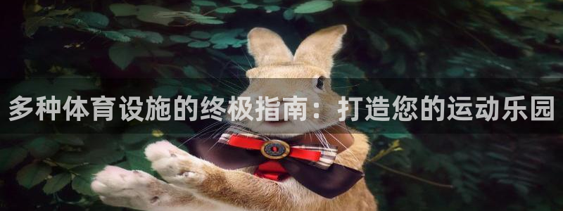 尊龙官网免费下载安装