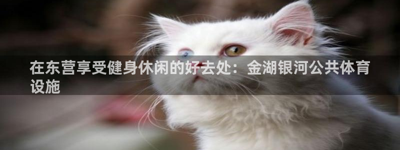 尊龙凯时用户名m