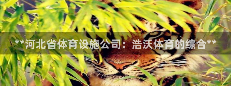 尊龙人生就是博旗舰厅