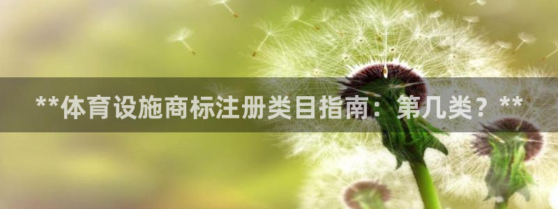 尊龙凯时是哪个国家的