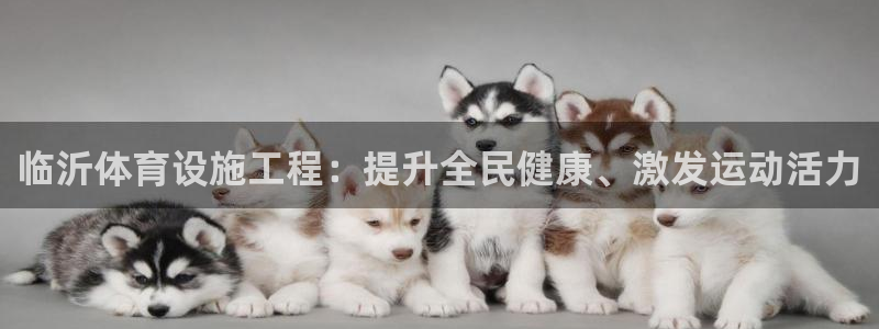 尊龙凯时平台正规吗