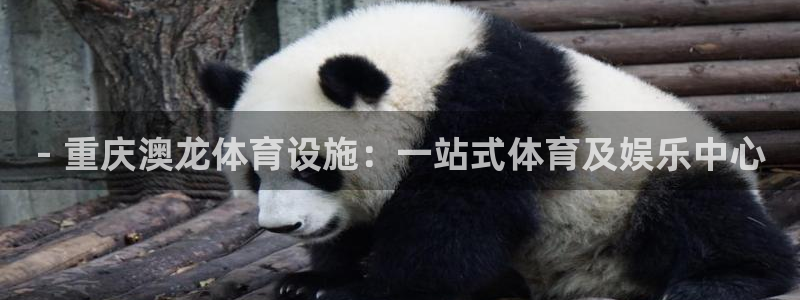 尊龙新版登录网址下载