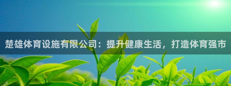 尊龙凯时代理佣金发不发