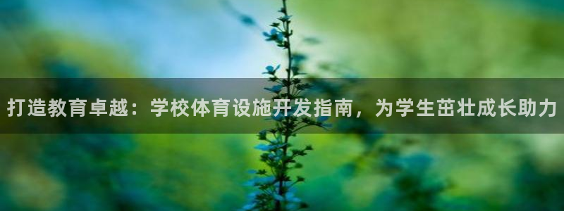 尊龙凯时国际