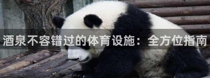 凯时APP官网首页