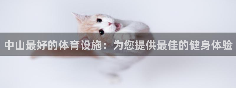 d88尊龙官方网