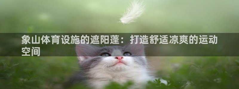 ag尊龙怎么样