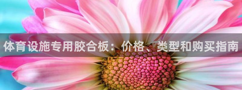 尊龙app最新版本官网