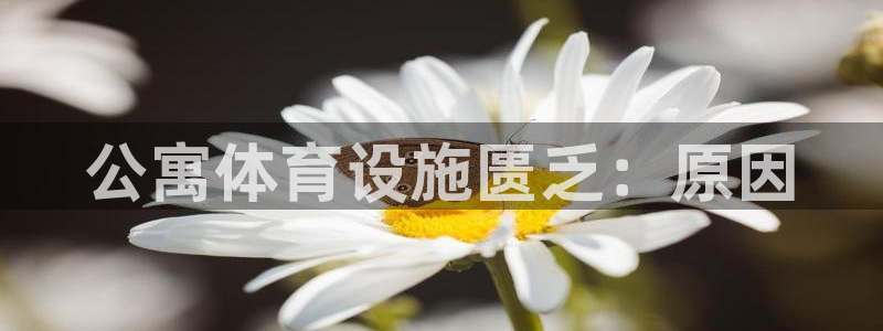 尊龙d88平台登录