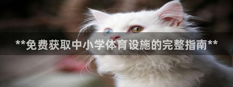 尊龙官网下载