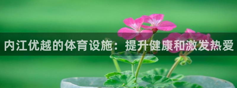 尊龙400