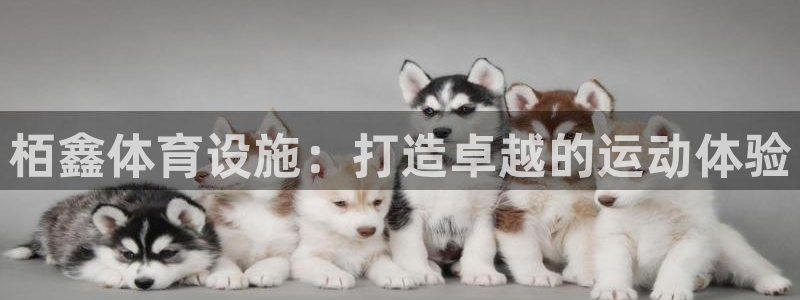 尊龙d88官网登录苹果版下载