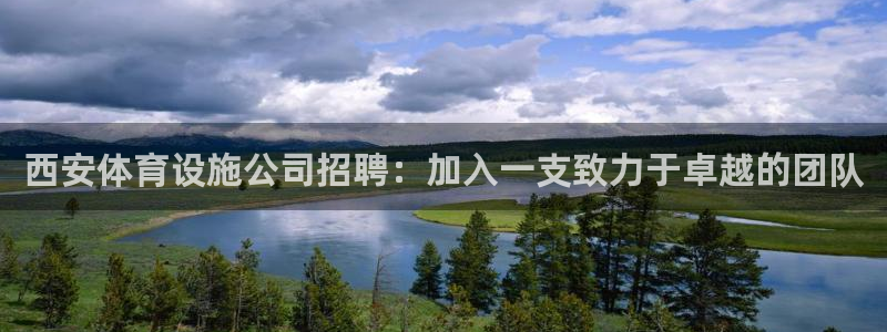 尊龙凯时有限公司