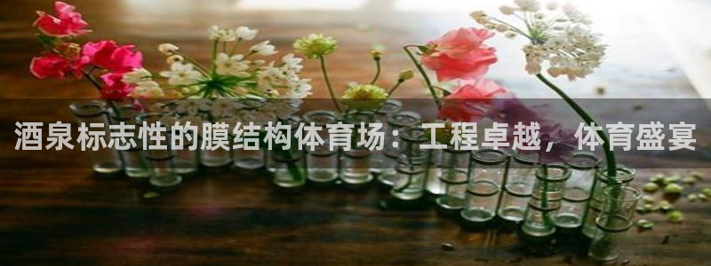 尊龙网站 人生就是博