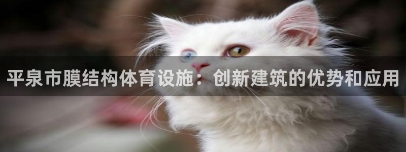 尊龙凯时出款