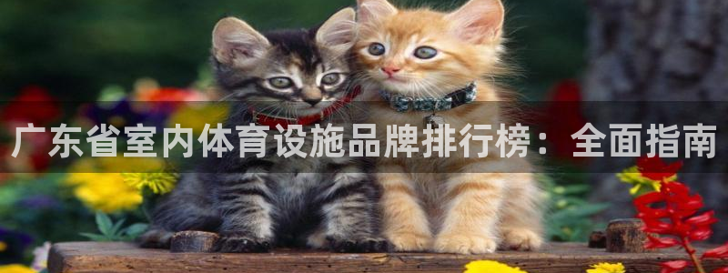 z6尊龙凯时旗