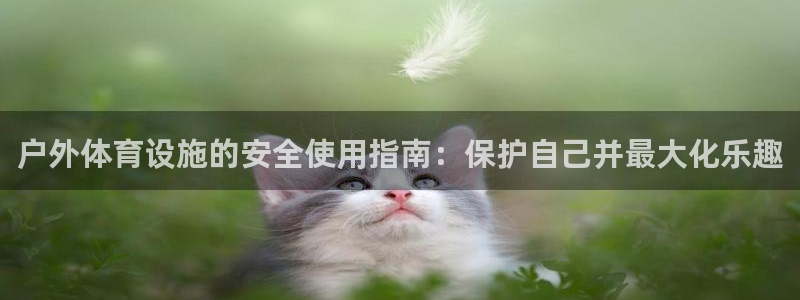尊龙人生就是博电脑版