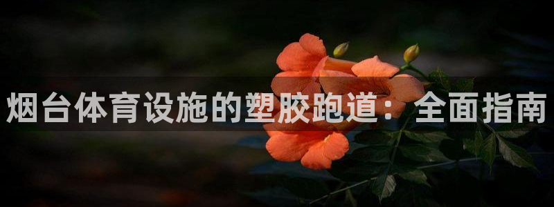 尊龙目前情况