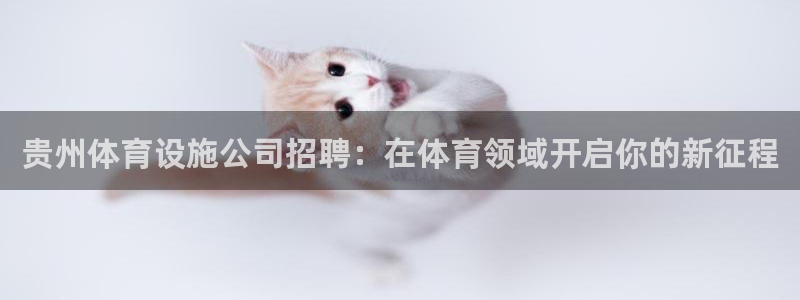 尊龙官方网站