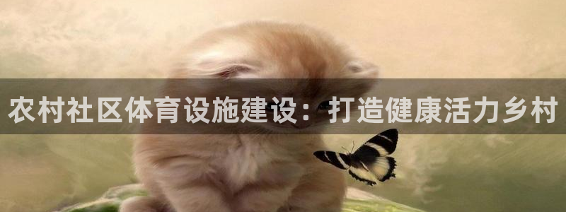 K66凯时国际平台官网