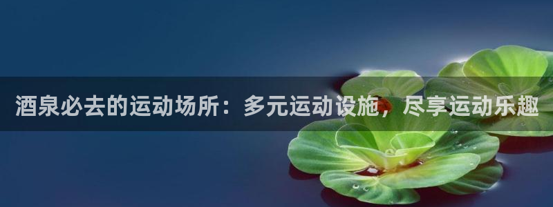 尊龙人生就是博电脑版