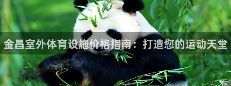 尊龙凯时和九游会哪个平台好一点