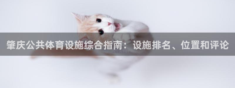 尊龙凯时几百万怎么下款
