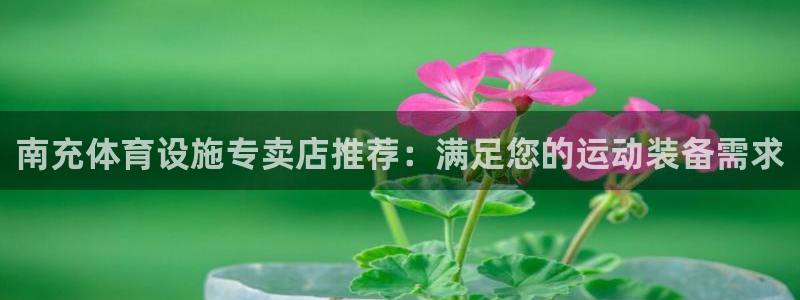 尊龙多少岁