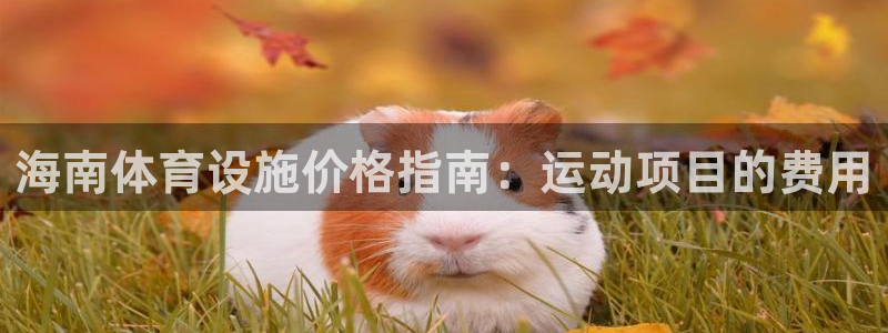尊龙凯时有假么