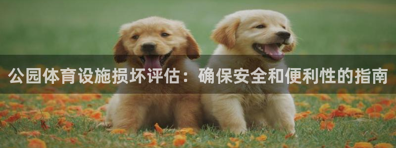 尊龙官方网站首页