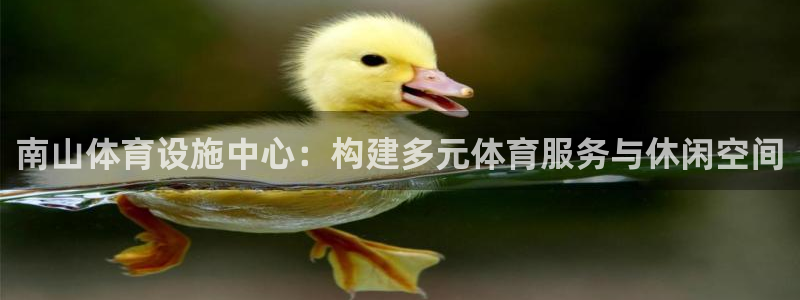 尊龙网页