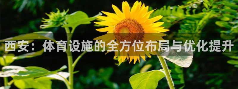 凯时k66会员登录