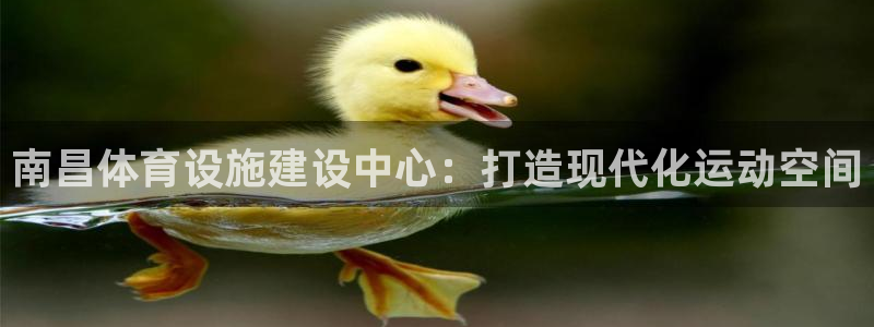 尊龙凯时人生就是搏技术实力