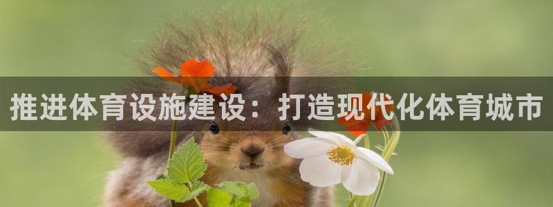 尊龙人生就是博手机版下载