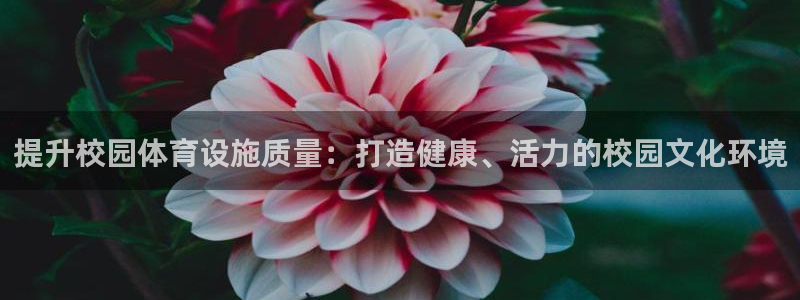 尊龙凯时导航菜单首页