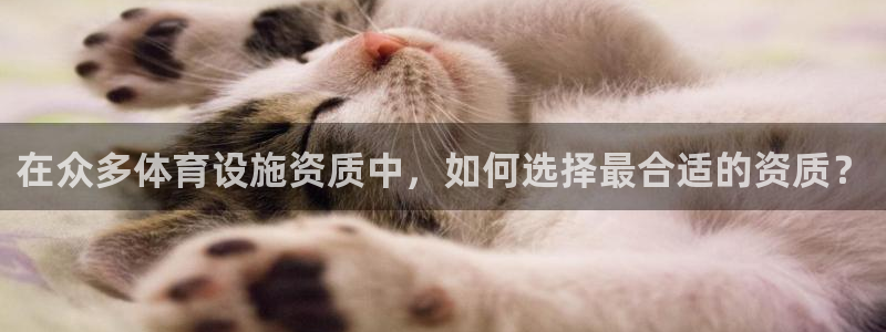 尊龙凯时取款一直支付中