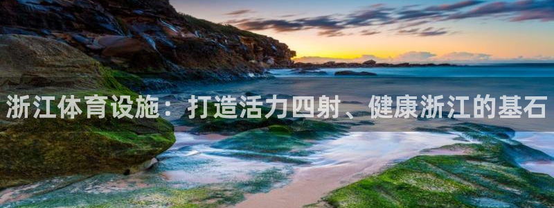 尊龙官网免费下载