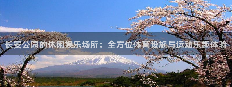 尊龙新版app首页