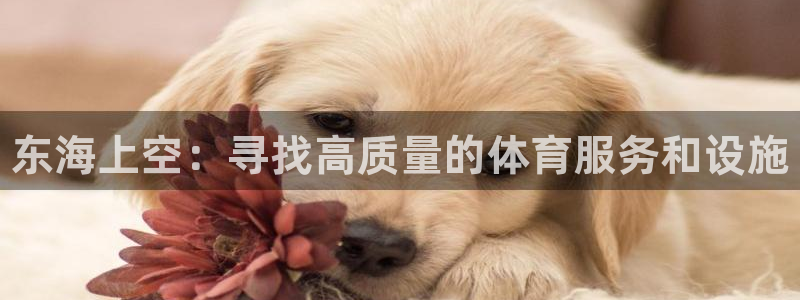 尊龙凯时官方网页